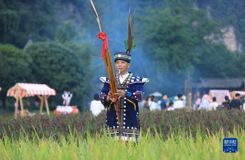 打虎娱乐
